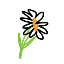 Daisy flower